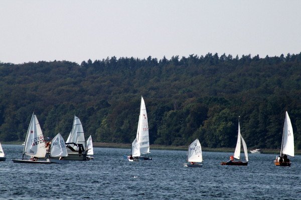 Bild der Veranstaltung: Herbstregatta 2019