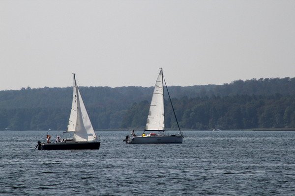 Bild der Veranstaltung: Herbstregatta 2019