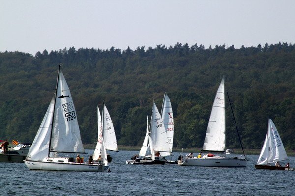 Bild der Veranstaltung: Herbstregatta 2019