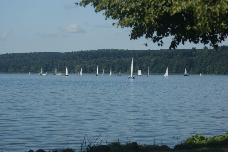 Bild der Veranstaltung: Herbstregatta 2015