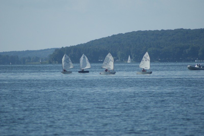 Bild der Veranstaltung: Herbstregatta 2015