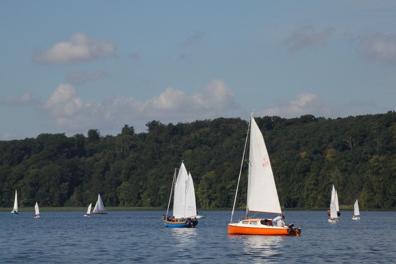 Bild der Veranstaltung: Herbstregatta 2015