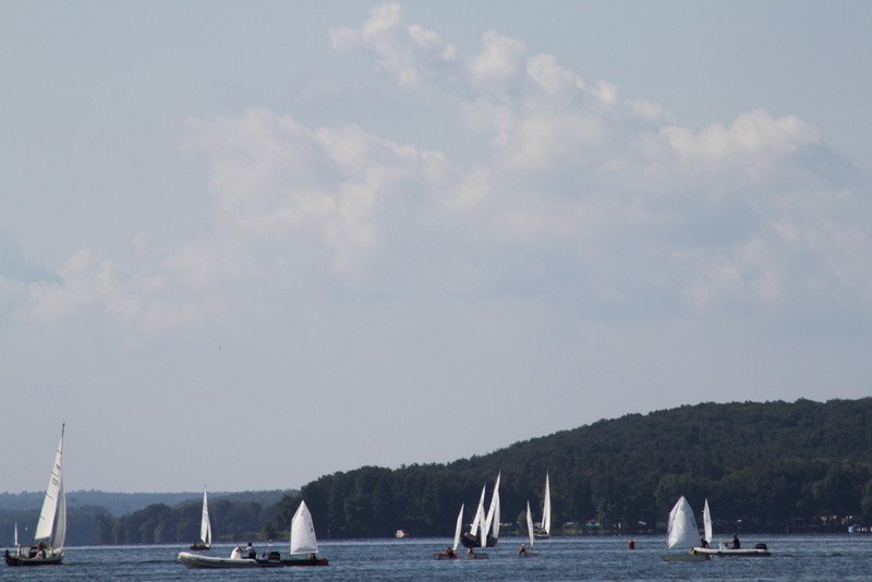Bild der Veranstaltung: Herbstregatta 2015