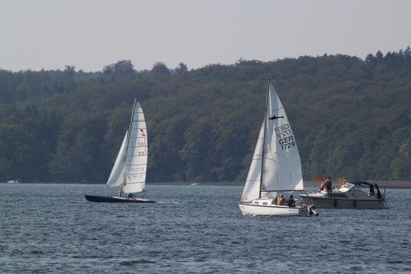 Bild der Veranstaltung: Herbstregatta 2019
