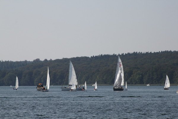 Bild der Veranstaltung: Herbstregatta 2019