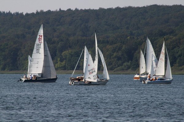 Bild der Veranstaltung: Herbstregatta 2019