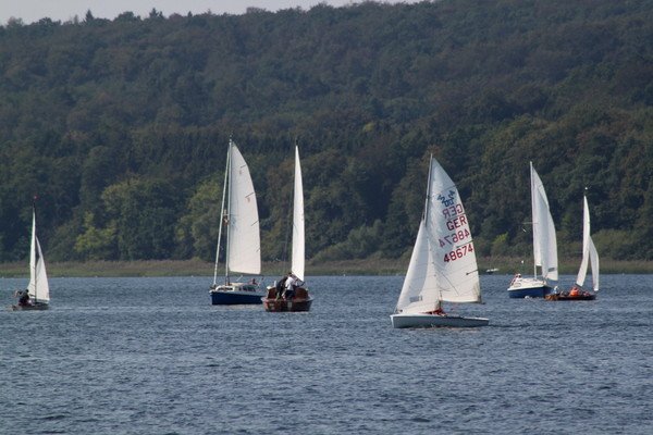 Bild der Veranstaltung: Herbstregatta 2019