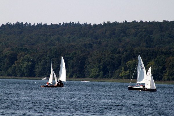Bild der Veranstaltung: Herbstregatta 2019