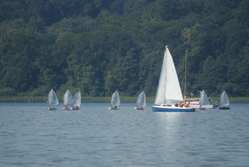 Bild der Veranstaltung: Herbstregatta 2015