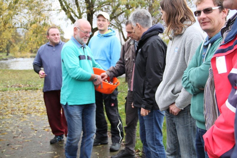 Bild der Veranstaltung: Opti Oldie Cup 2015