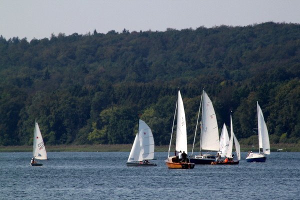 Bild der Veranstaltung: Herbstregatta 2019