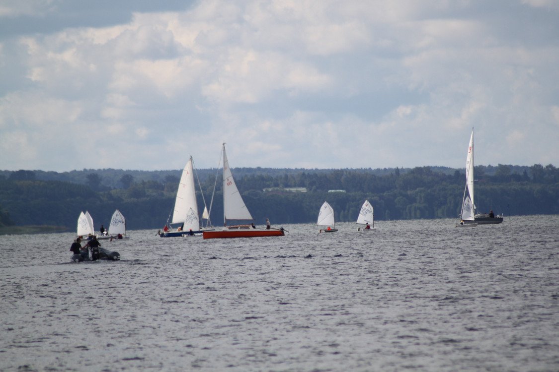 Bild der Veranstaltung: Herbstregatta 2017