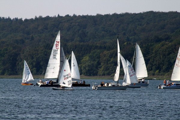 Bild der Veranstaltung: Herbstregatta 2019