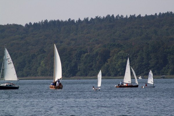 Bild der Veranstaltung: Herbstregatta 2019