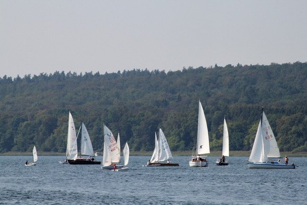 Bild der Veranstaltung: Herbstregatta 2019
