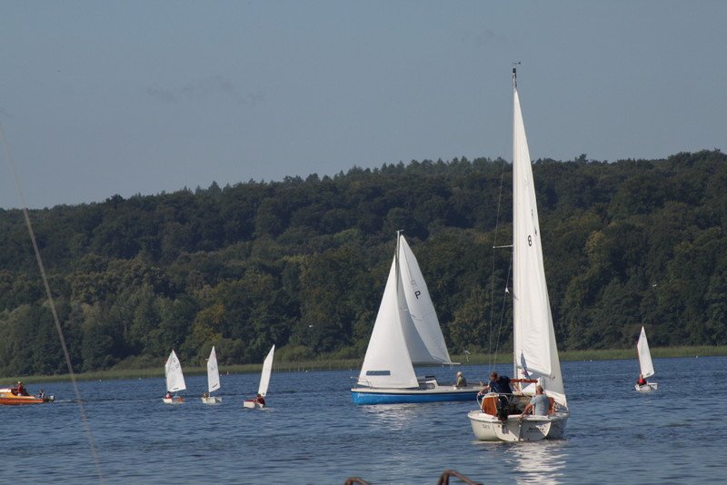 Bild der Veranstaltung: Herbstregatta 2015