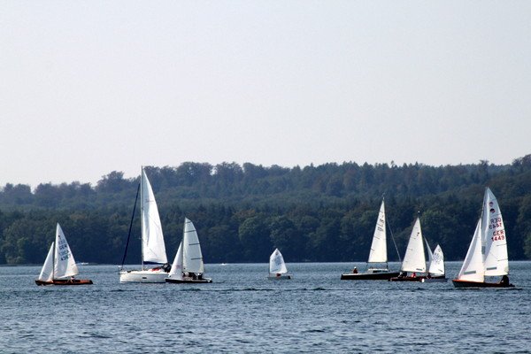 Bild der Veranstaltung: Herbstregatta 2019