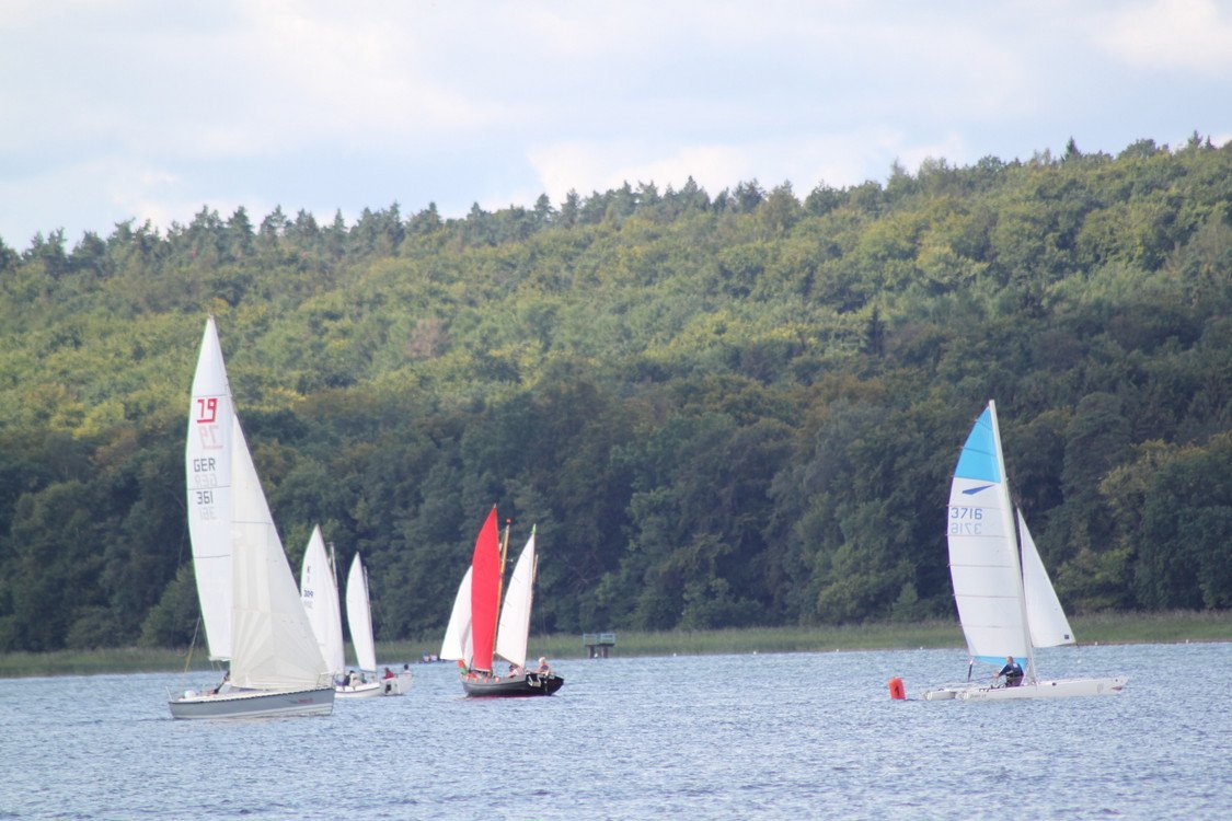 Bild der Veranstaltung: Herbstregatta 2017