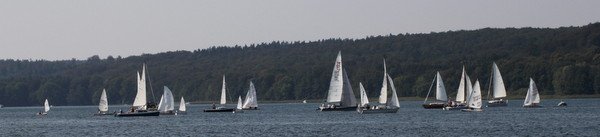 Bild der Veranstaltung: Herbstregatta 2019