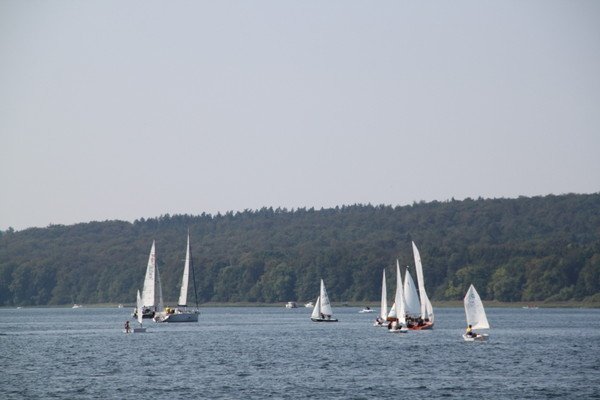 Bild der Veranstaltung: Herbstregatta 2019