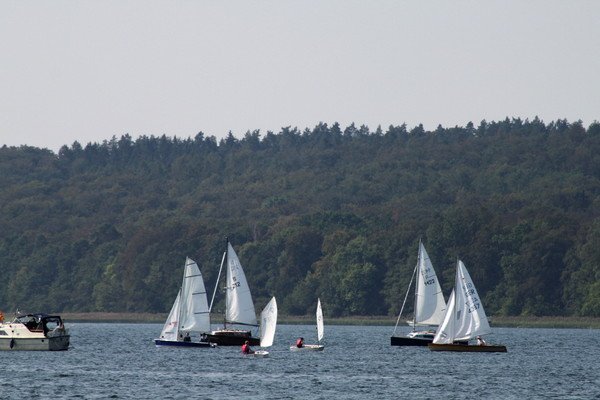 Bild der Veranstaltung: Herbstregatta 2019