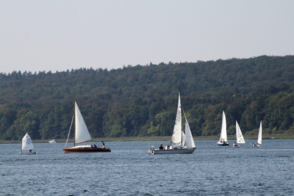 Bild der Veranstaltung: Herbstregatta 2019