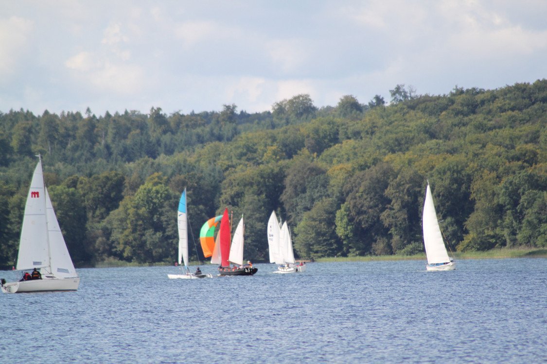 Bild der Veranstaltung: Herbstregatta 2017