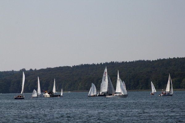 Bild der Veranstaltung: Herbstregatta 2019