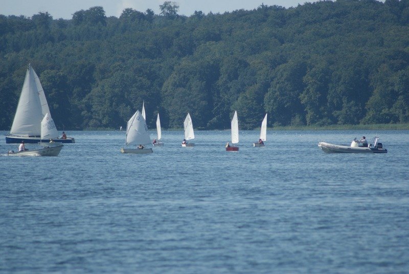 Bild der Veranstaltung: Herbstregatta 2015