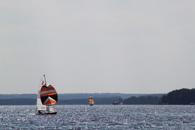 Bild der Veranstaltung: Herbstregatta 2015