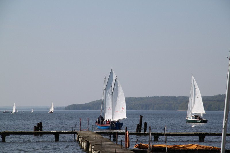 Bild der Veranstaltung: Frühjahrsregatta 2011