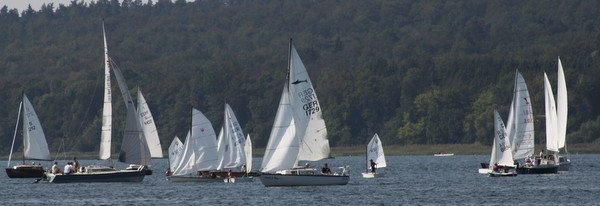 Bild der Veranstaltung: Herbstregatta 2019