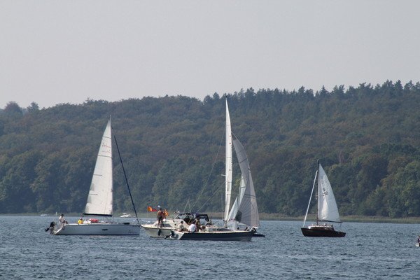 Bild der Veranstaltung: Herbstregatta 2019