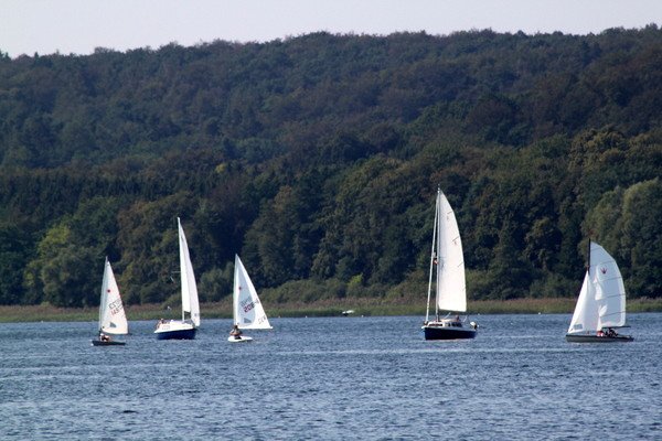 Bild der Veranstaltung: Herbstregatta 2019