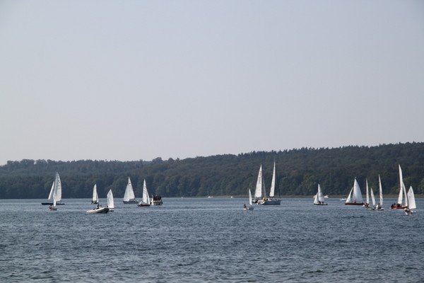 Bild der Veranstaltung: Herbstregatta 2019