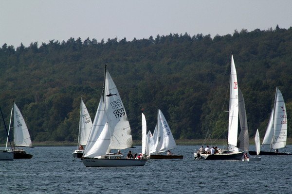 Bild der Veranstaltung: Herbstregatta 2019