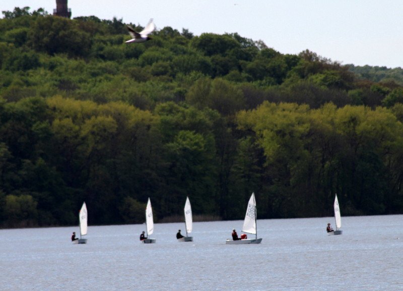 Bild der Veranstaltung: Frühjahrsregatta 2018