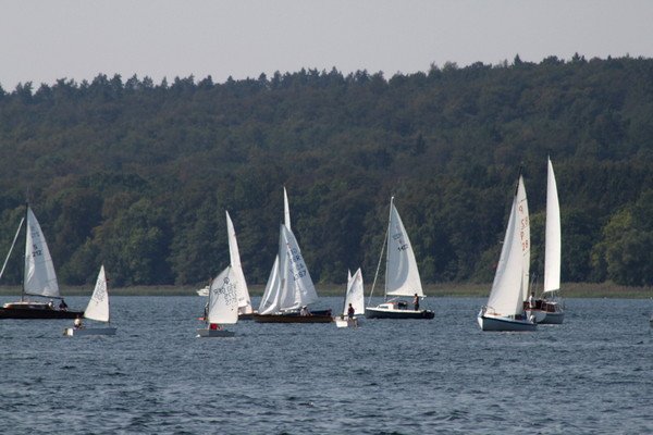 Bild der Veranstaltung: Herbstregatta 2019