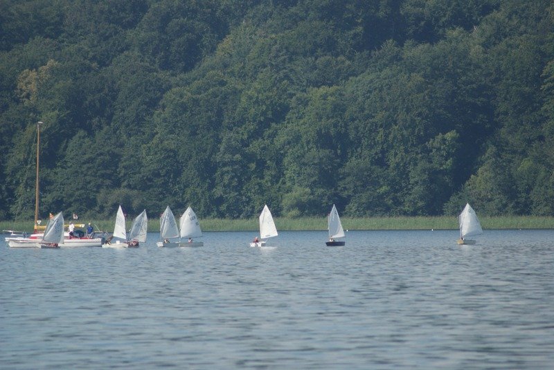 Bild der Veranstaltung: Herbstregatta 2015