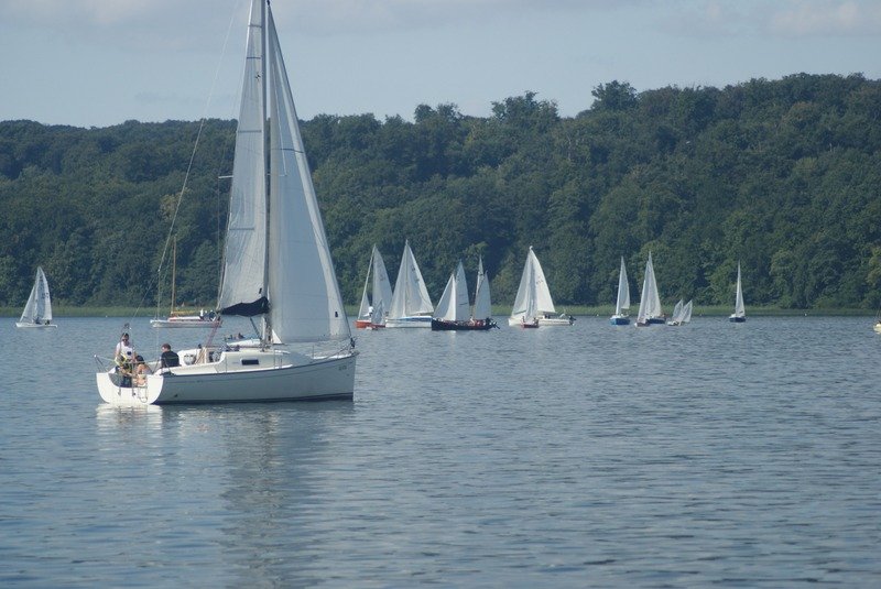 Bild der Veranstaltung: Herbstregatta 2015