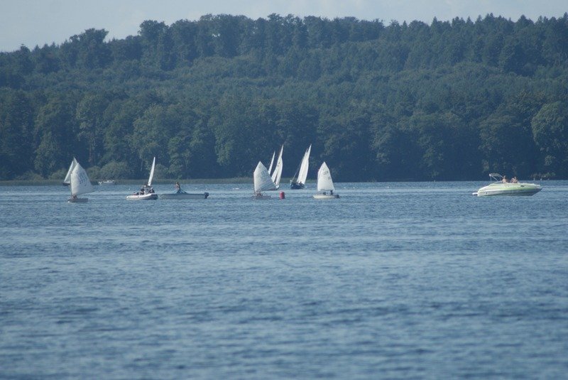 Bild der Veranstaltung: Herbstregatta 2015